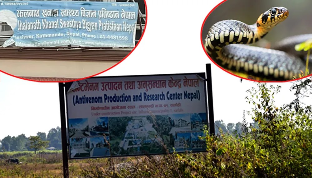 झलनाथ खनाल प्रतिष्ठानको सर्प पाल्ने कार्यक्रममा भ्रष्टाचार, ७ जनाविरुद्ध मुद्धा दायर