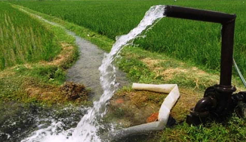 झापाका जमिनमा सिँचाइ सुविधा बढ्दै