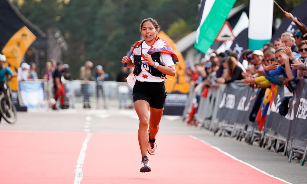 Yangle News