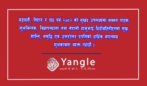 Yangle News