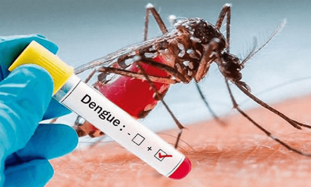 २ जिल्लाबाहेक देशैभर डेंगु संक्रमण
