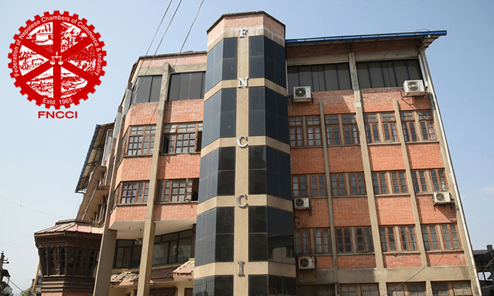 जेनजी आन्दोलनमा लुटपाट, तोडफोड र आगजनी गर्नेलाई कारबाही माग