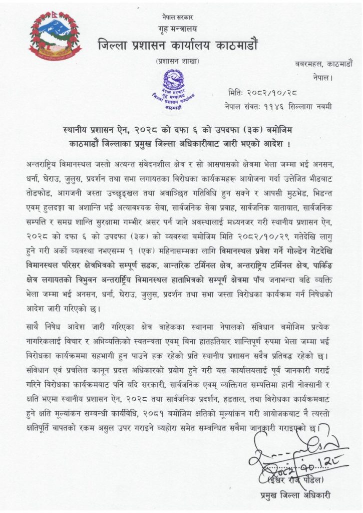 Yangle News