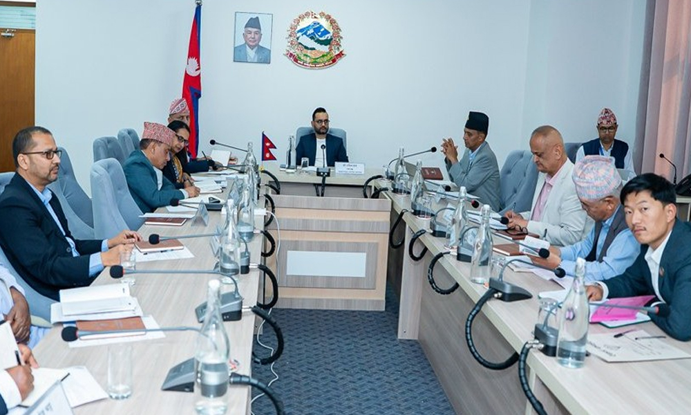 संविधान संशोधन बहसपत्र कार्यदलद्वारा राय संकलनलाई तीव्रता