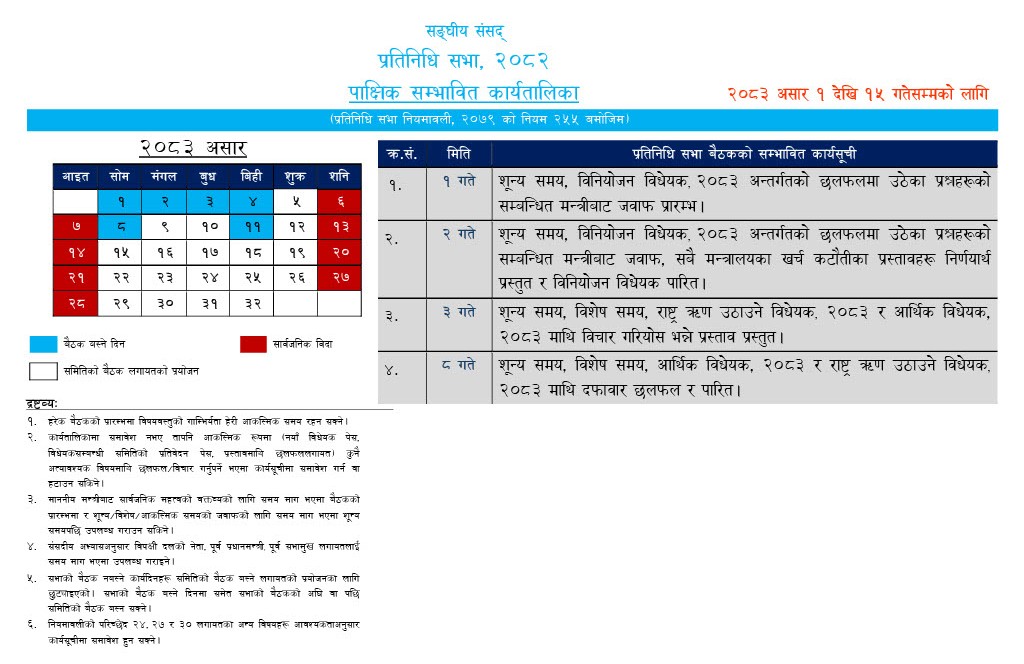 Yangle News