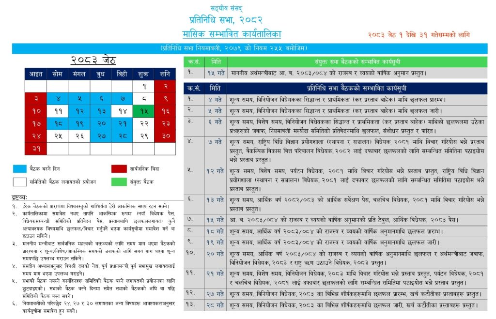Yangle News