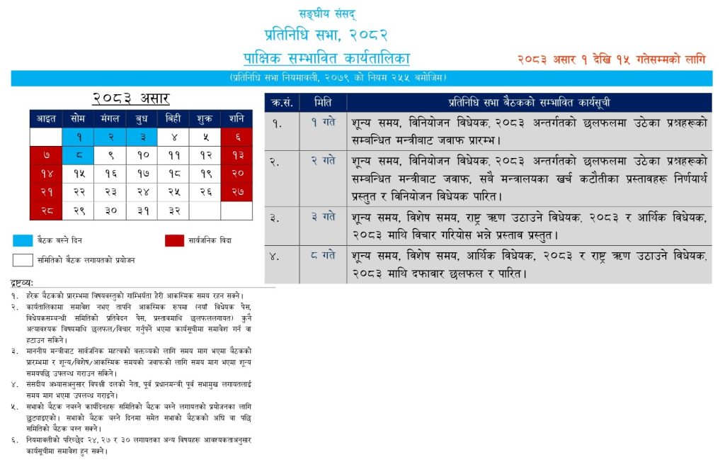 Yangle News