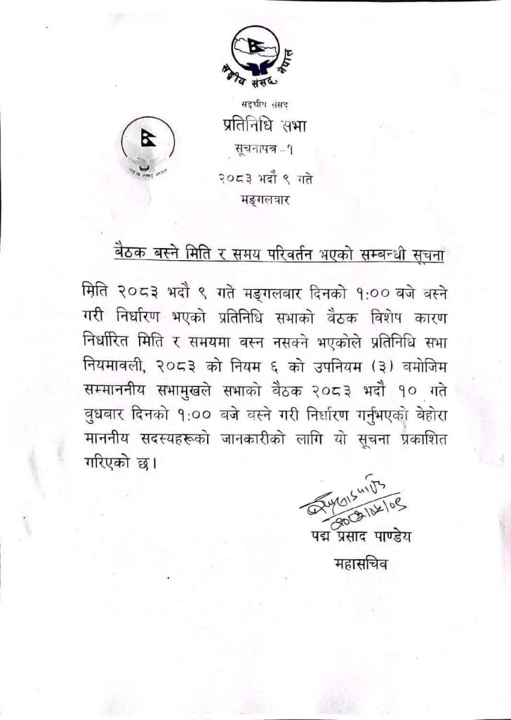Yangle News