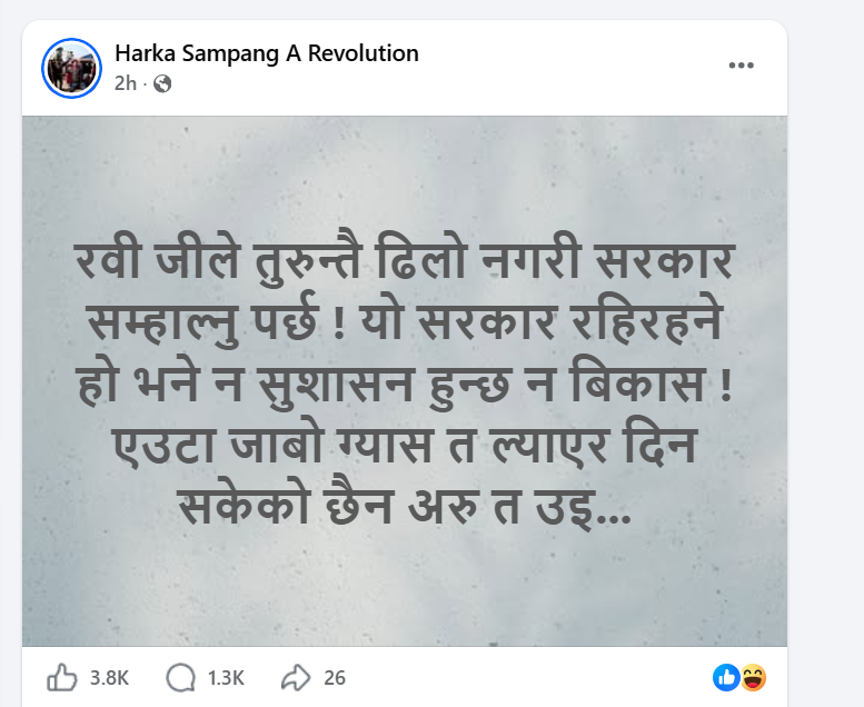 Yangle News